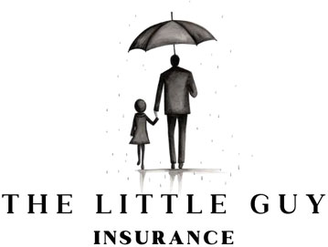 The Little Guy Insurance